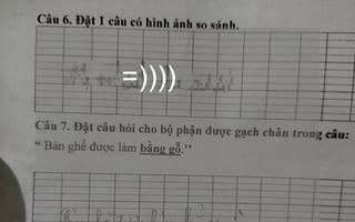 Được yêu cầu ĐẶT CÂU có hình ảnh so sánh, học sinh tiểu học viết ngay 6 từ, cô giáo đọc xong hốt hoảng: Đừng để mẹ thấy!