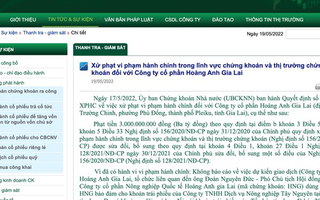 Hoàng Anh Gia Lai bị phạt 3 tỉ đồng, đình chỉ giao dịch chứng khoán 5 tháng