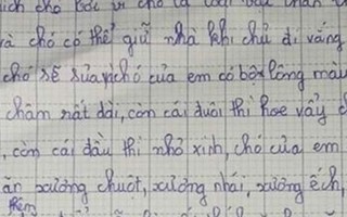 Cười ngất với bài văn tả cún cưng của bé gái tiểu học: Thích ăn kem, có lúc bỏ nhà theo trai