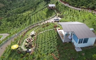 Ai là chủ nhân thực sự 11ha đất được cho là của Ngọc Trinh?