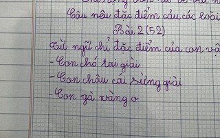 Làm bài tập đặt câu nêu đặc điểm của con vật, bé gái tiểu học khiến dân mạng dở khóc dở cười