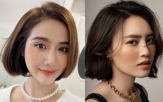 Nhiều mỹ nhân Việt đang để một kiểu tóc ngắn siêu sang chảnh, thanh lịch