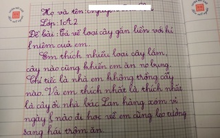 Bài văn tả loài cây kỷ niệm của học sinh tiểu học khiến cộng đồng mạng "dở khóc dở cười"