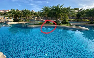 Khởi tố vụ án bé trai người Nhật tử vong tại hồ bơi một resort ở Mũi Né