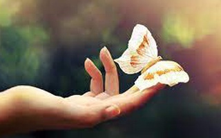 Là phụ nữ, đừng mong đợi ai mang hạnh phúc đến cho mình