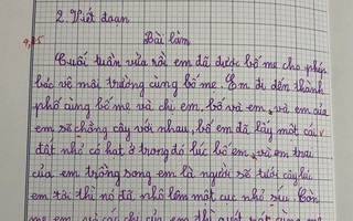Bài văn miêu tả hoạt động bảo vệ môi trường của bé gái tiểu học khiến cộng đồng mạng cười ngất