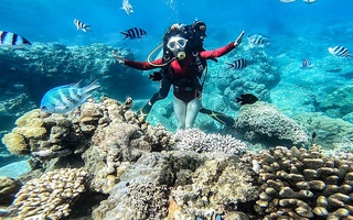 Tạm dừng du lịch lặn biển khu vực dễ gây tổn hại san hô ở vịnh Nha Trang
