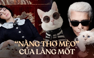 "Hoàng hậu” mèo nhà Chanel: Có người hầu kẻ hạ, ở villa hạng sang, vẫn kiếm được tiền tỷ sau khi chủ nhân qua đời