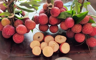Vải không hạt 200 nghìn/kg gây "sốt" thị trường