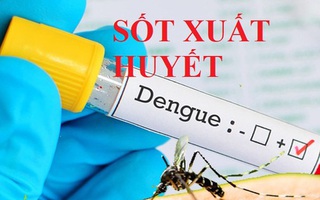 Chỉ 1 tuần, tăng hơn 11.000 trường hợp mắc sốt xuất huyết