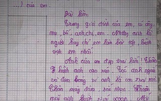 Tả anh trai bàn chân to, hay chém gió, có IQ cao hơn cả Einstein, bài văn của cô bé lớp 5 khiến dân mạng cười nắc nẻ