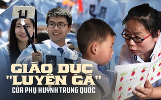 Giáo dục "luyện gà" của phụ huynh Trung Quốc: Khiến con mất hết thanh xuân liệu có giúp chúng "hóa phụng thành rồng"?