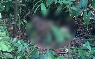 Thi thể quấn chăn, buộc dây nghi là nam sinh mất tích 1 tuần