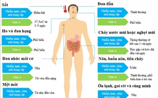 Cúm A và viêm mũi họng cấp - phân biệt như thế nào?