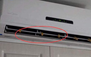 Kẹp thứ này lên điều hoà, nhà thơm phức mà muỗi sẽ không còn xuất hiện ở nhà bạn nữa
