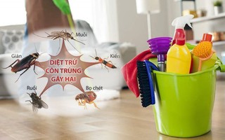 Sử dụng loạt mẹo nhỏ này, đảm bảo nhà bạn vừa thơm lại không còn bóng dáng côn trùng