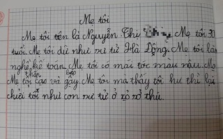 Bài văn bóc phốt khiến mẹ "giận tím mặt": Mẹ tôi dữ như sư tử Hà Đông, tôi hư thì chửi như sư tử trong sở thú