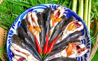 Cá chốt nấu lá me non, chua thanh và ngon thấm đẫm nơi đầu lưỡi