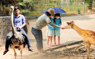 “Đổi gió” với những vườn thú cách TP.HCM vài chục ki-lô-mét, giúp các em nhỏ được trải nghiệm tiếp xúc động vật ở cự ly gần