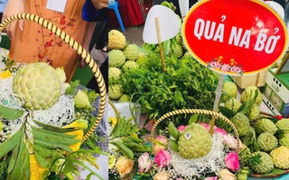 3 quả na nặng hơn 3kg ở Lạng Sơn được đấu giá gần 160 triệu đồng