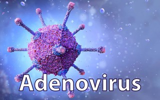 Virus Adeno mà nhiều trẻ đang nhiễm phải nguy hiểm ra sao?