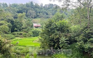 Rủ nhau tắm khe suối, 3 cháu bé ở Lạng Sơn chết đuối thương tâm