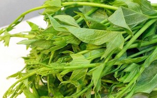 Rau lang: Giá rẻ bèo, cực tốt cho sức khỏe nhưng 'nguy hiểm' với một số người sau