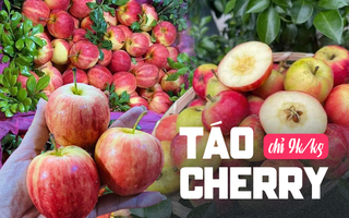 Bất ngờ với loại táo cherry được rao bán trên chợ mạng, giá rẻ chỉ 9 nghìn/kg