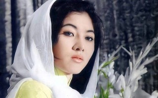 Cuộc đời đầy thăng trầm của Thẩm Thuý Hằng trước khi qua đời