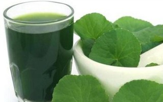 Thứ rau dại được ví như ‘sâm xanh’ giúp dưỡng gan thận cực tốt, nhưng không phải ai cũng dùng được