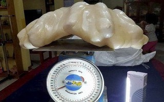 Viên ngọc trai lớn nhất thế giới trị giá bao nhiêu tiền?