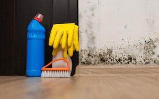5 vị trí "lý tưởng" để nấm mốc hình thành khi thời tiết nồm ẩm mà bạn cần để ý