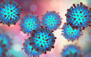 Bất ngờ rối loạn thần kinh rồi chết vài năm sau nhiễm virus sởi: Phát hiện giật mình