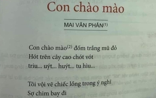 Thêm một bài thơ trong SGK lớp 6 trở thành tâm điểm tranh cãi: "Triu… uýt… huýt… tu hìu…" là gì?