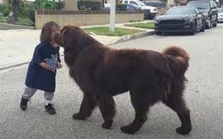 Vợ lấy tên chó để đặt tên cho con trai, người đàn ông phản ứng dữ dội