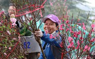 Chính thức trình Thủ tướng phương án nghỉ Tết 7 ngày