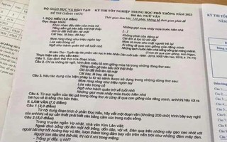 Khởi tố nữ sinh gửi đề thi tốt nghiệp THPT nhờ người giải giúp