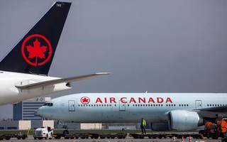 Hành khách khuyết tật lê mình khỏi máy bay, Air Canada phải xin lỗi