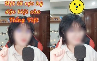 Từ tiếng Việt đến người Việt cũng phải "lú" vì có 7749 cách dùng: Ai biết hết chắc ngày xưa học giỏi lắm!