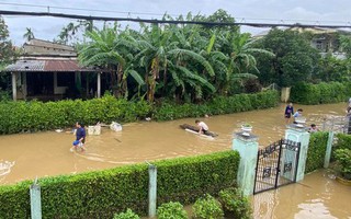 Nhà của Á hậu Minh Nhàn ở Huế bị ngập sâu