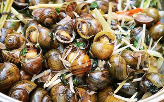 Những người này ăn ốc luộc 'cực độc', thèm đến mấy cũng nên tránh cho xa