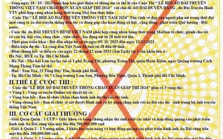 VTV không tổ chức cuộc thi Lễ hội áo dài truyền thống Việt Nam
