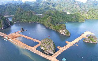 Yêu cầu chủ đầu tư dừng thi công dự án lấp vùng đệm vịnh Hạ Long làm biệt thự, nhà liền kề