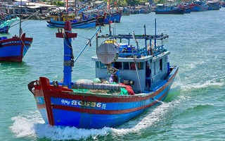 Hai tàu cá ở Quảng Ngãi bị phạt hơn 3 tỷ đồng