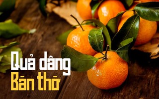 Vì sao mua cam canh, quýt bày bàn thờ nên kèm lá, đặc biệt trong dịp Tết?