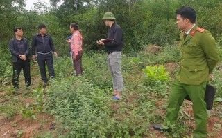 Bé trai 2 tuổi ở Nghệ An được tìm thấy sau 3 ngày mất tích: Thông tin mới nhất