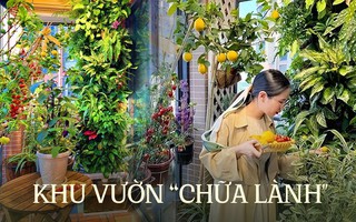 Cô gái tự tạo vườn hoa trên ban công, thu hút 100.000 lượt theo dõi và chữa lành trái tim của hàng nghìn người