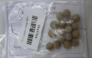 Đi cấp cứu sau khi uống thuốc "3 đời trị tiểu đường"