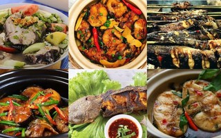 Loại cá này rất phổ biến, ngon hơn cá lóc và giàu dinh dưỡng hơn mai rùa nhưng thường không được ưa thích