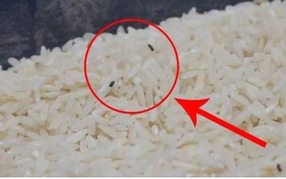Bỏ ngay thứ này vào gạo, để cả năm không lo mối mọt